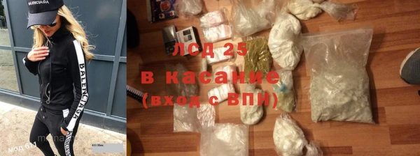PSILOCYBIN Богданович