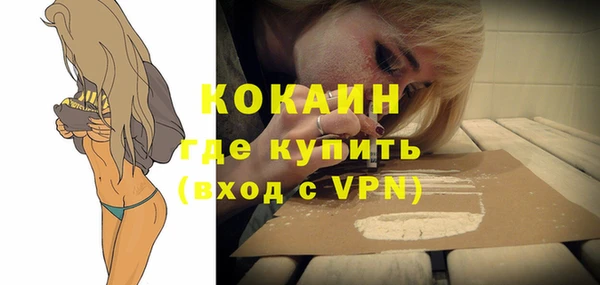 PSILOCYBIN Богданович