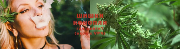 PSILOCYBIN Богданович