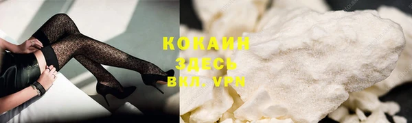 PSILOCYBIN Богданович