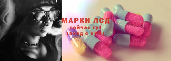 PSILOCYBIN Богданович