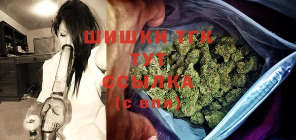 PSILOCYBIN Богданович