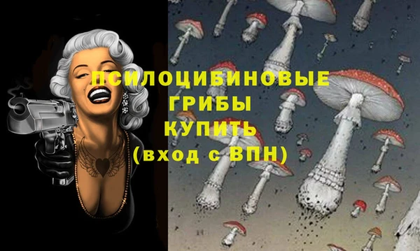 дмт Богородицк