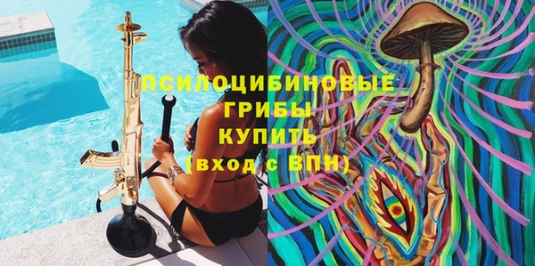 дмт Богородицк