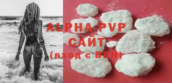 PSILOCYBIN Богданович