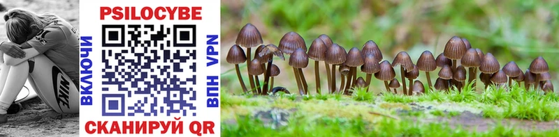 Галлюциногенные грибы Psilocybine cubensis  как найти наркотики  Таганрог 